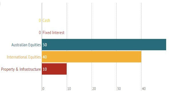 Aggressive Risk Profile Chart - Bar Chart – Templated