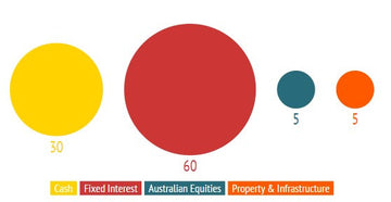 Defensive Risk Profile Chart - Circle Chart – Templated
