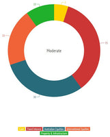 Moderate Risk Profile Chart - Donut Chart
